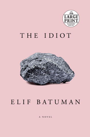 Cover of The Idiot