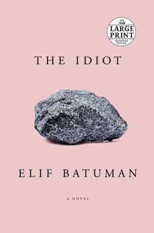 Book cover for The Idiot