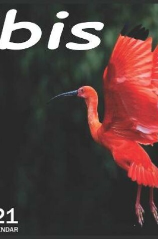 Cover of 2021 Ibis