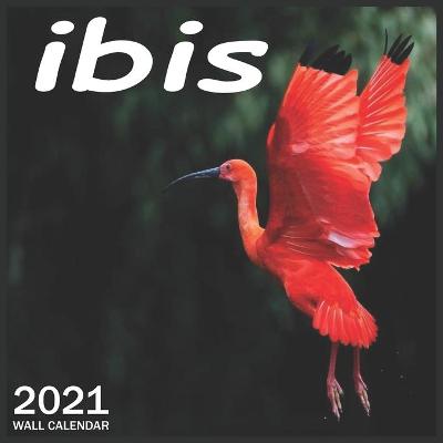 Book cover for 2021 Ibis