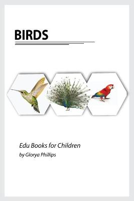 Book cover for Birds