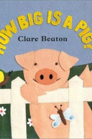 Cover of How Big is a Pig?
