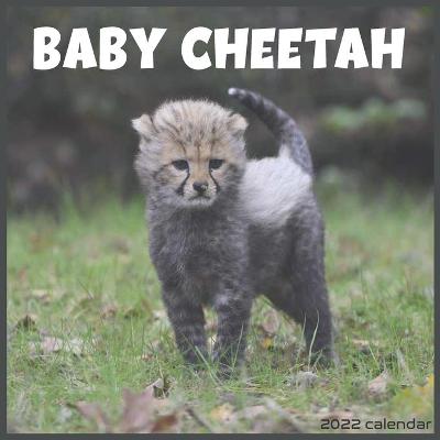 Book cover for Baby Cheetah 2022 Calendar