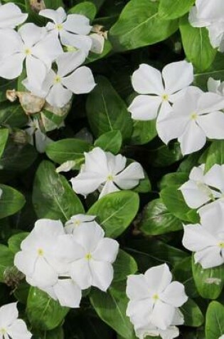 Cover of White Periwinkle Flower Journal