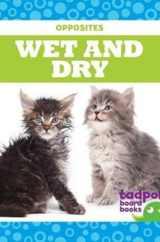 Cover of Wet and Dry