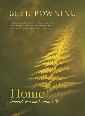 Book cover for Home