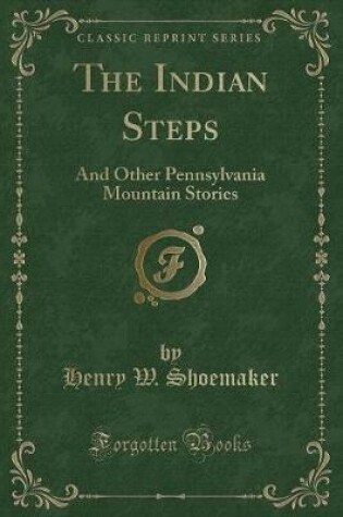 Cover of The Indian Steps