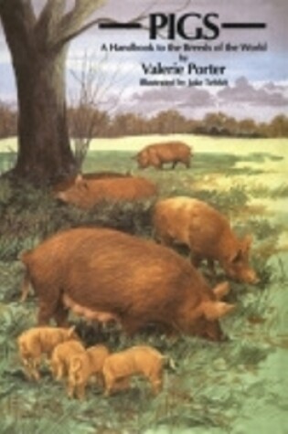 Cover of Pigs