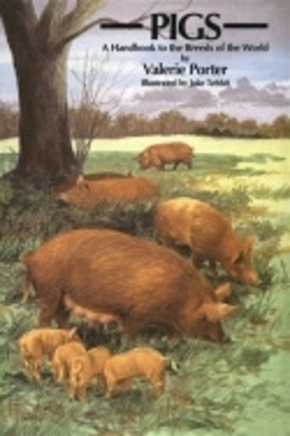 Book cover for Pigs