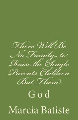 Book cover for There Will Be No Family to Raise the Single Parents Children But Them