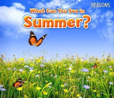 Book cover for What Can You See In Summer?