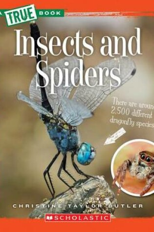 Cover of Insects and Spiders (True Book: Animal Kingdom)