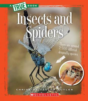 Book cover for Insects and Spiders (True Book: Animal Kingdom)