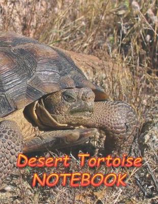 Book cover for Desert Tortoise NOTEBOOK