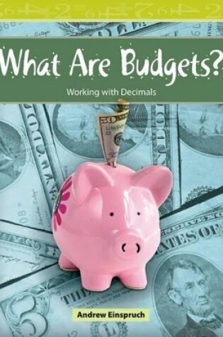 Cover of What Are Budgets?