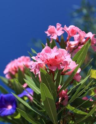 Book cover for Oleander Gardening Journal