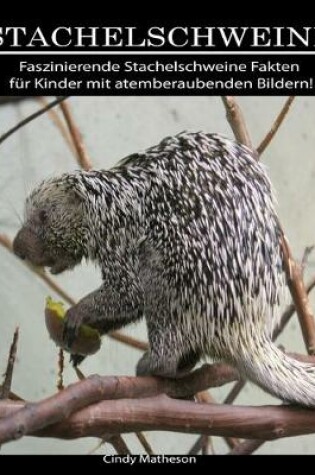 Cover of Stachelschweine