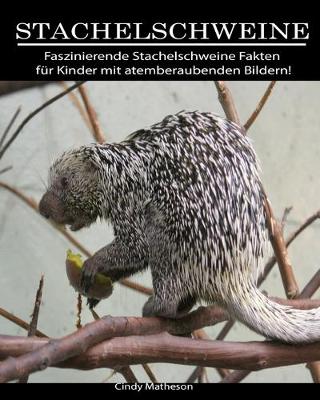 Book cover for Stachelschweine