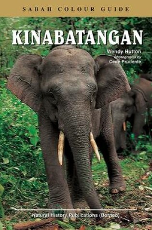 Cover of Kinabatangan: Sabah Colour Guide