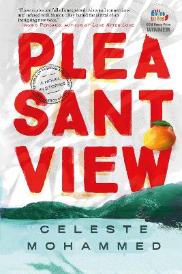 Book cover for Pleasantview