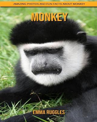 Book cover for Monkey