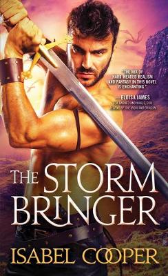 Book cover for The Stormbringer