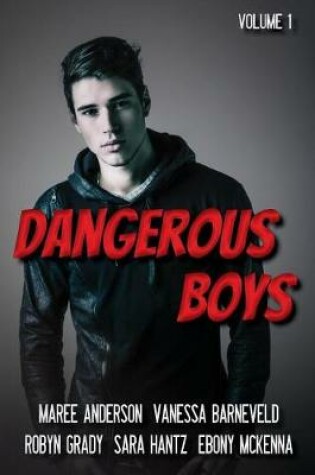 Cover of Dangerous Boys