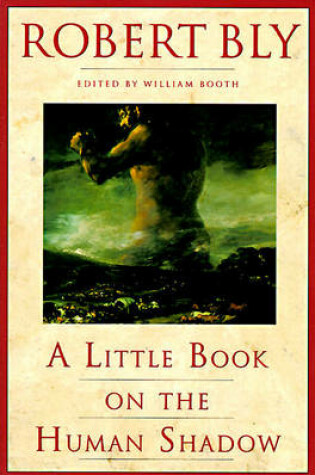 Cover of A Little Book on the Human Shadow