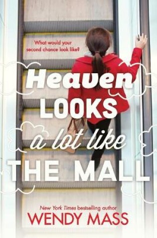 Cover of Heaven Looks a Lot Like the Mall