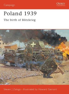 Book cover for Poland 1939
