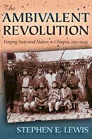 Cover of Ambivalent Revolution