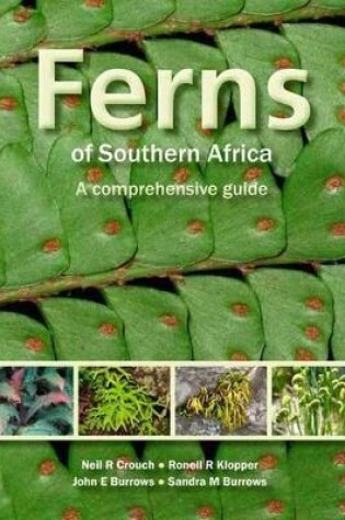 Cover of Ferns of Southern Africa: A Comprehensive Guide (PVC)