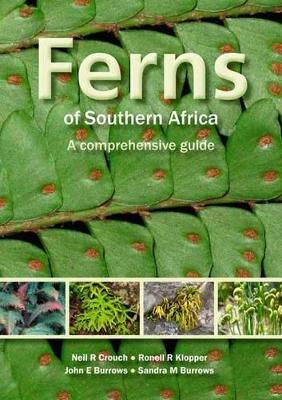 Book cover for Ferns of Southern Africa: A Comprehensive Guide (PVC)