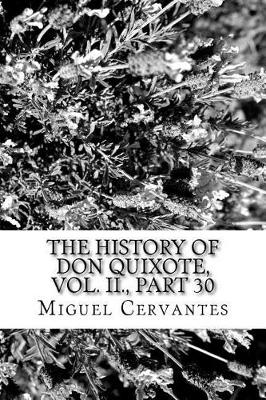 Book cover for The History of Don Quixote, Vol. II., Part 30