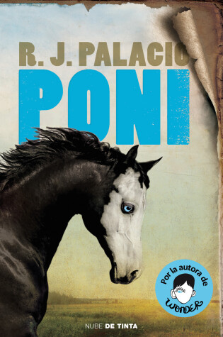 Cover of Poni / Pony