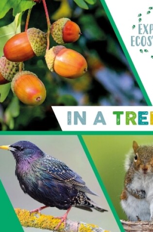 Cover of Explore Ecosystems: In a Tree