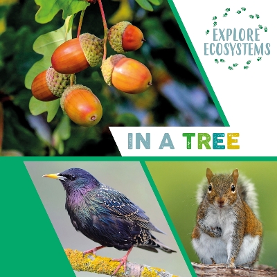 Book cover for Explore Ecosystems: In a Tree