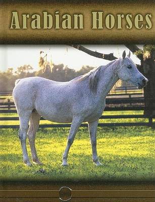 Book cover for Arabian Horses