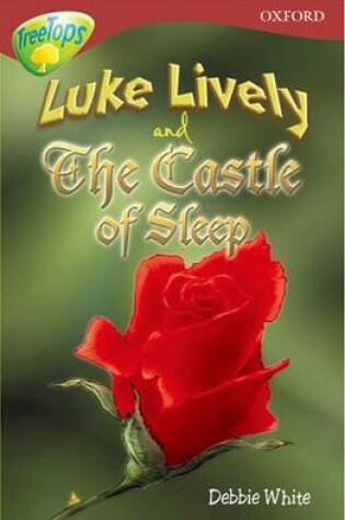 Cover of TreeTops Fiction Level 15A Luke Lively & The Castle Of Sleep