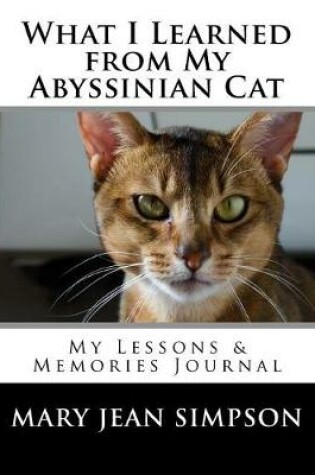 Cover of What I Learned from My Abyssinian Cat