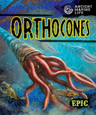 Book cover for Orthocones