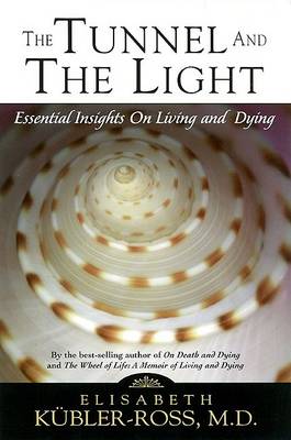 Book cover for Tunnel and the Light