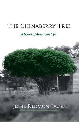 Book cover for The Chinaberry Tree