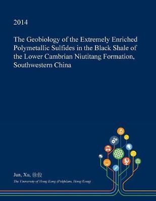 Book cover for The Geobiology of the Extremely Enriched Polymetallic Sulfides in the Black Shale of the Lower Cambrian Niutitang Formation, Southwestern China