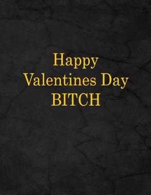 Book cover for Happy Valentines Day Bitch