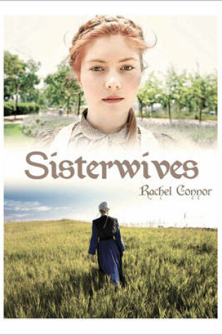 Cover of Sisterwives