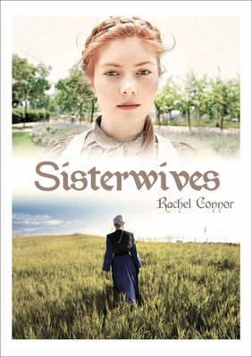 Book cover for Sisterwives