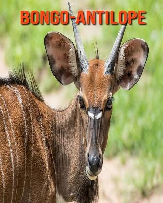 Book cover for Bongo-Antilope