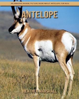 Book cover for Antelope