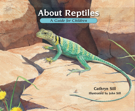Book cover for About Reptiles